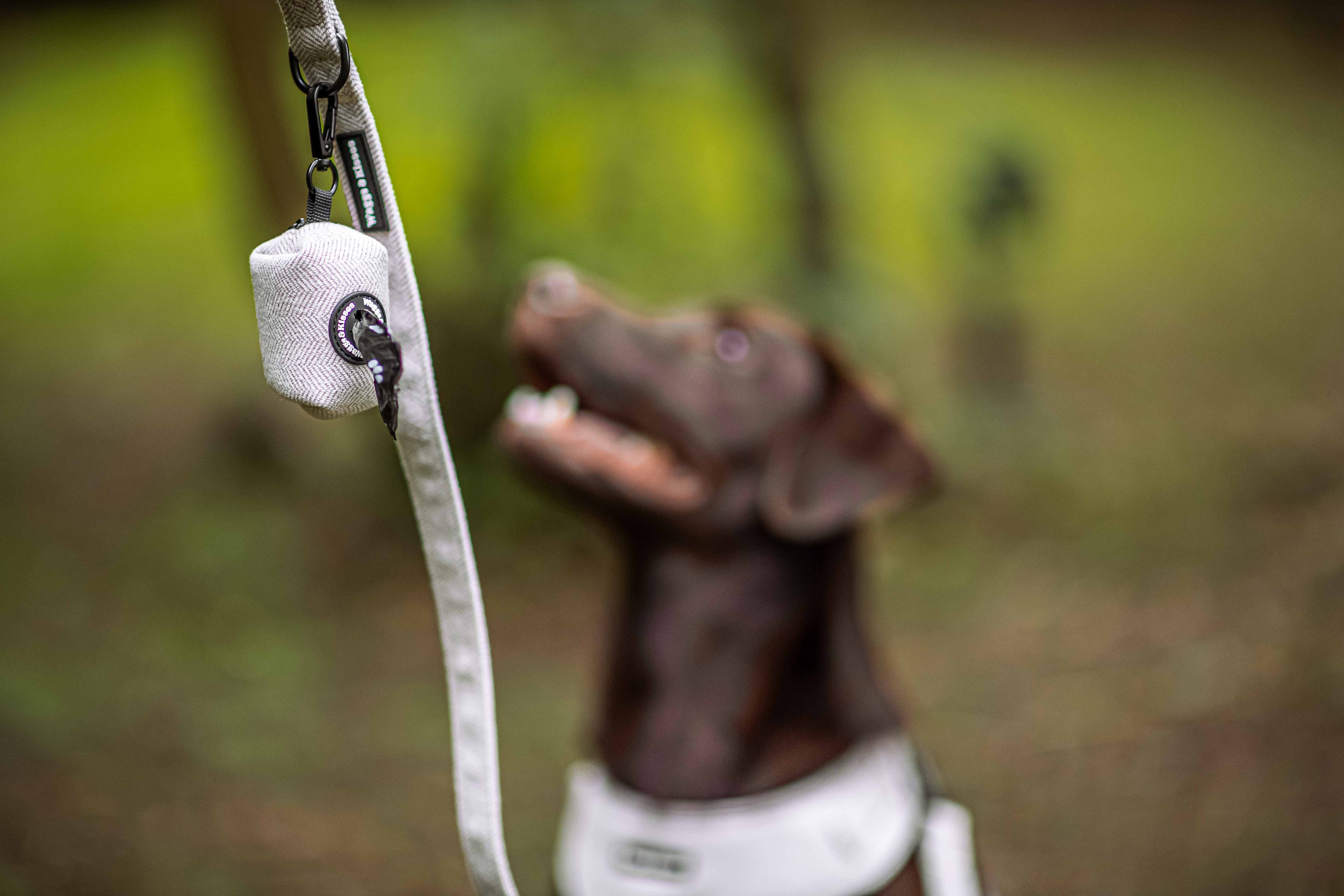 Dog Walking Bags: Why Every Owner Needs One