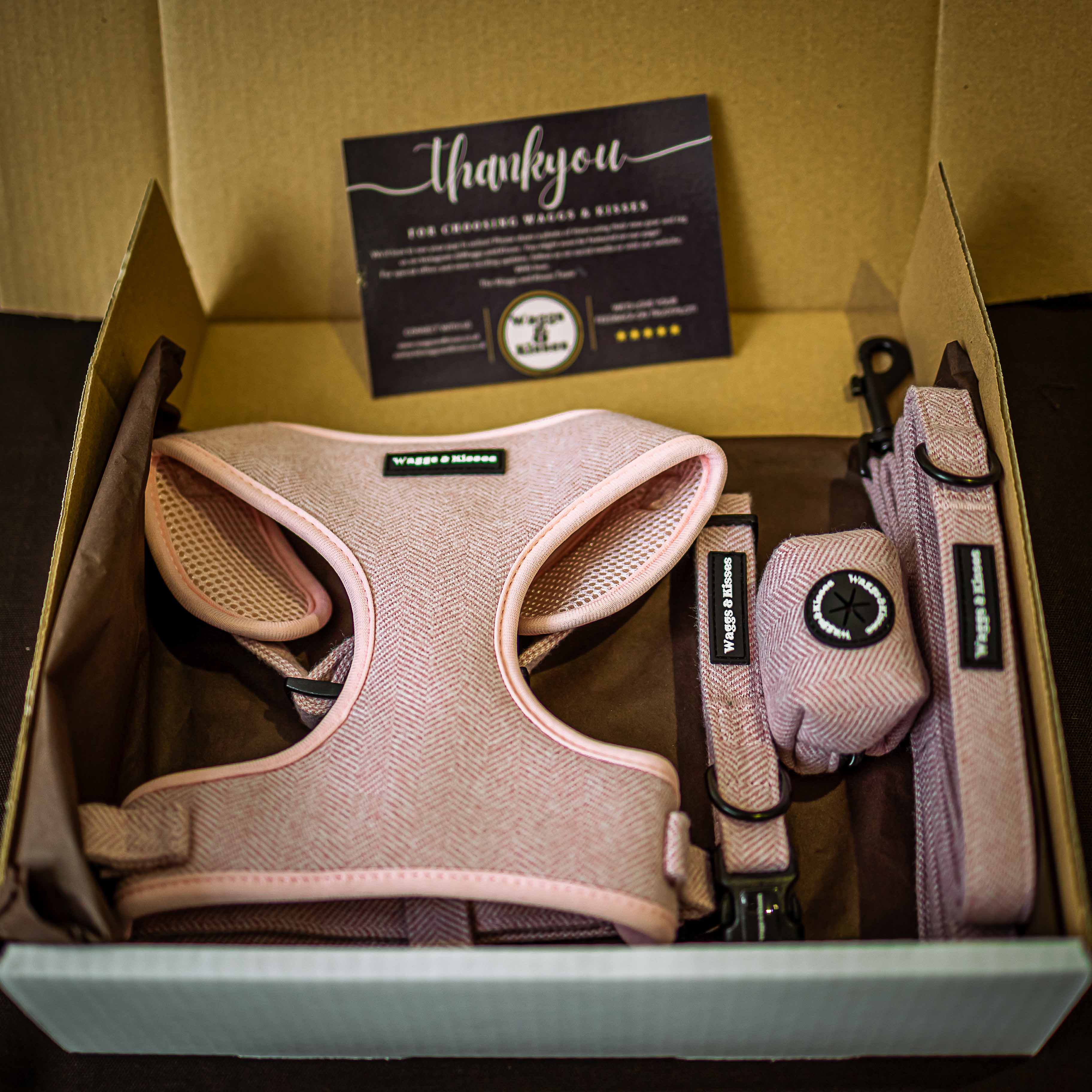 Gift Bundles For New Dog Parents In The UK