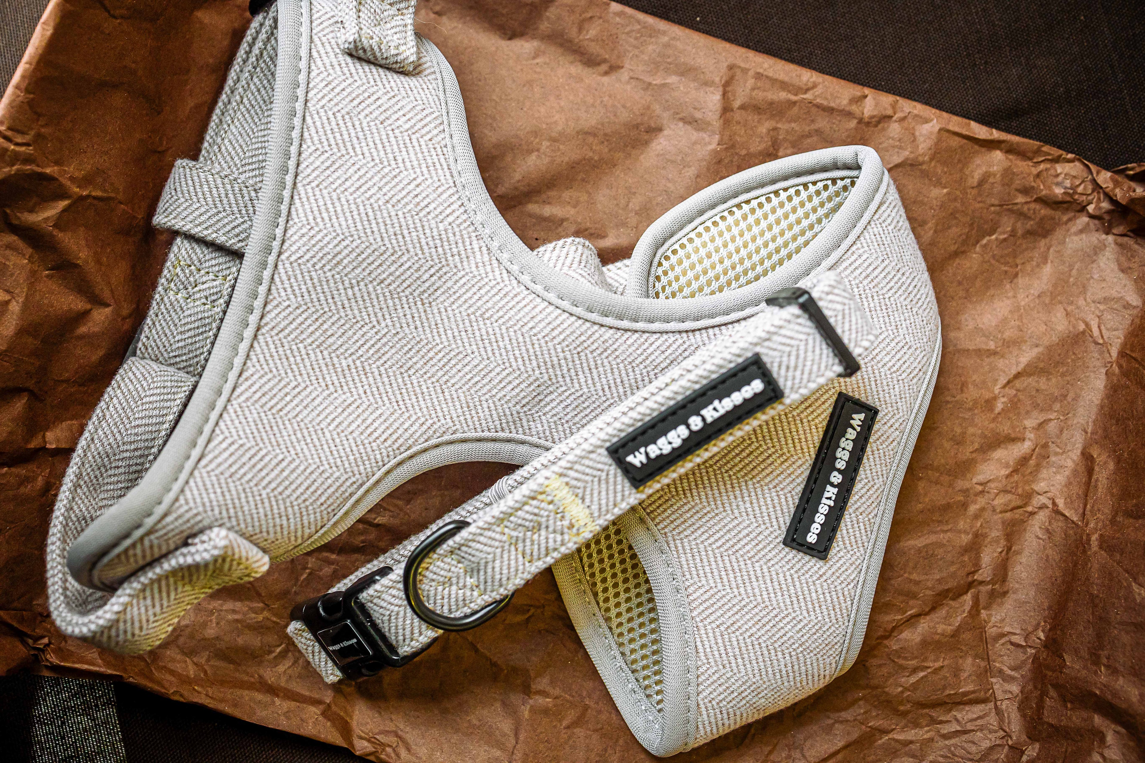 How to Choose the Best Dog Accessories for Your Pug