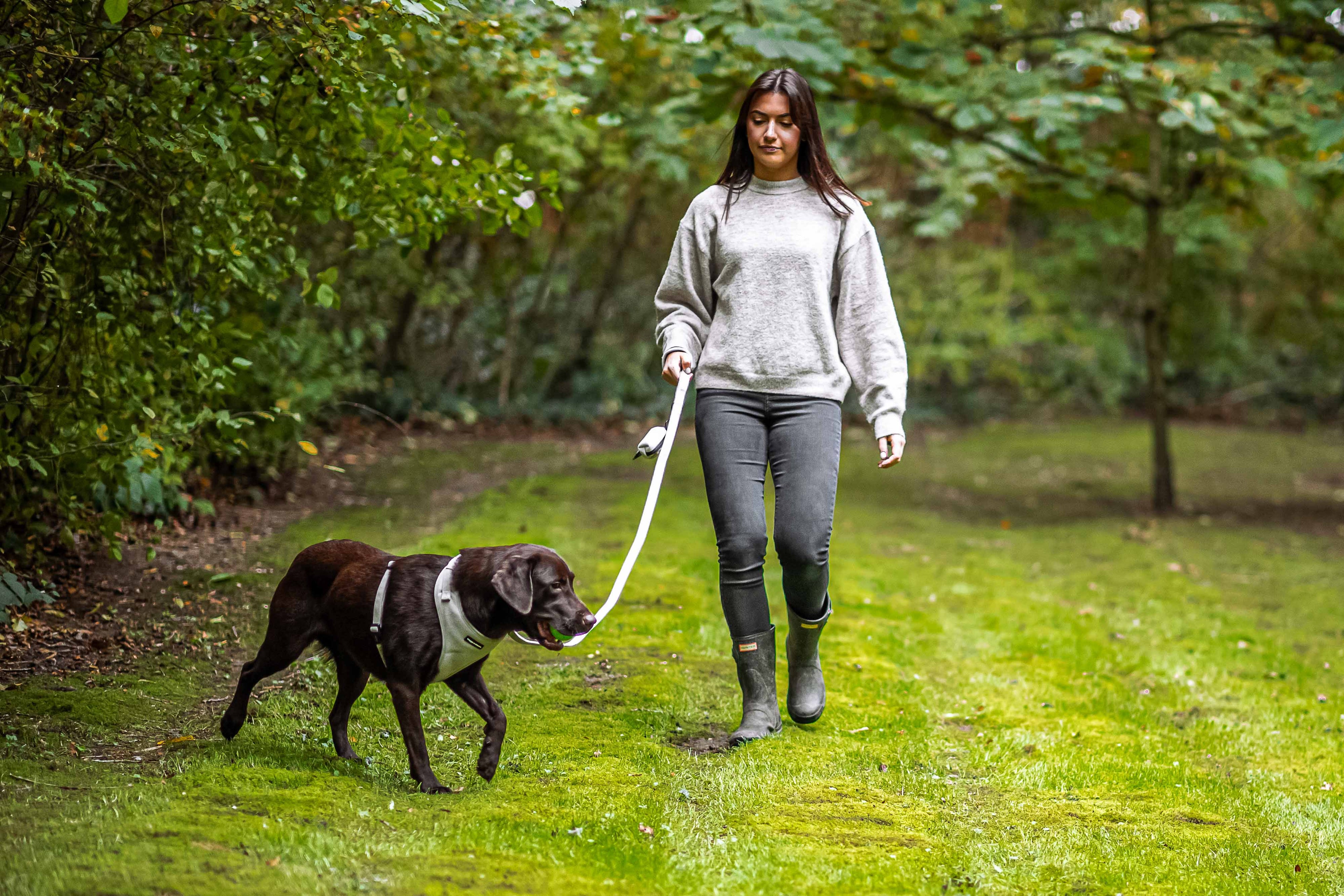 Matching Dog Leads and Collars