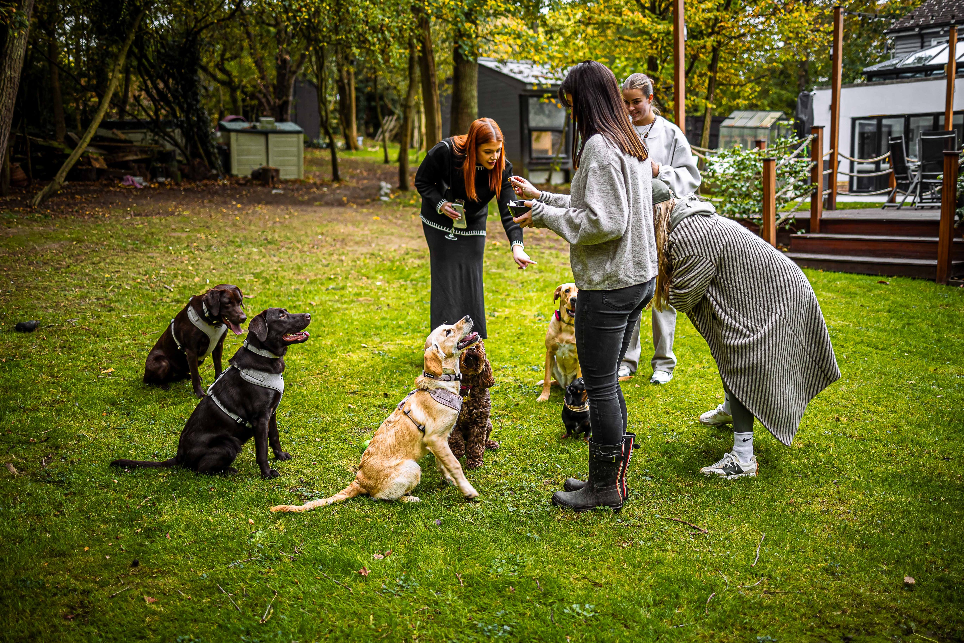 Must-Have Accessories for Dog Walking in Rainy Weather