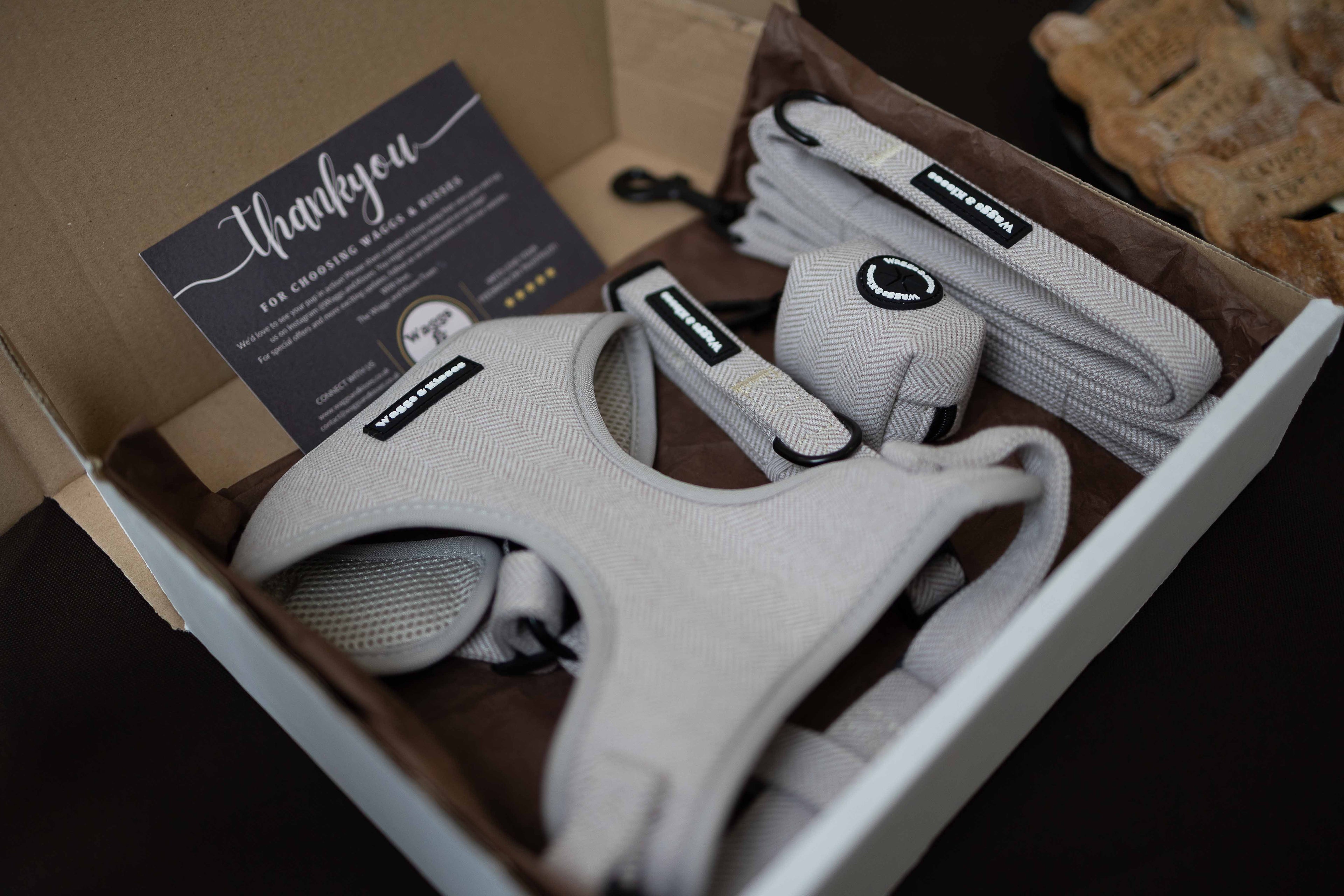 The History of Tweed (And Why It’s Perfect for Dog Gear)