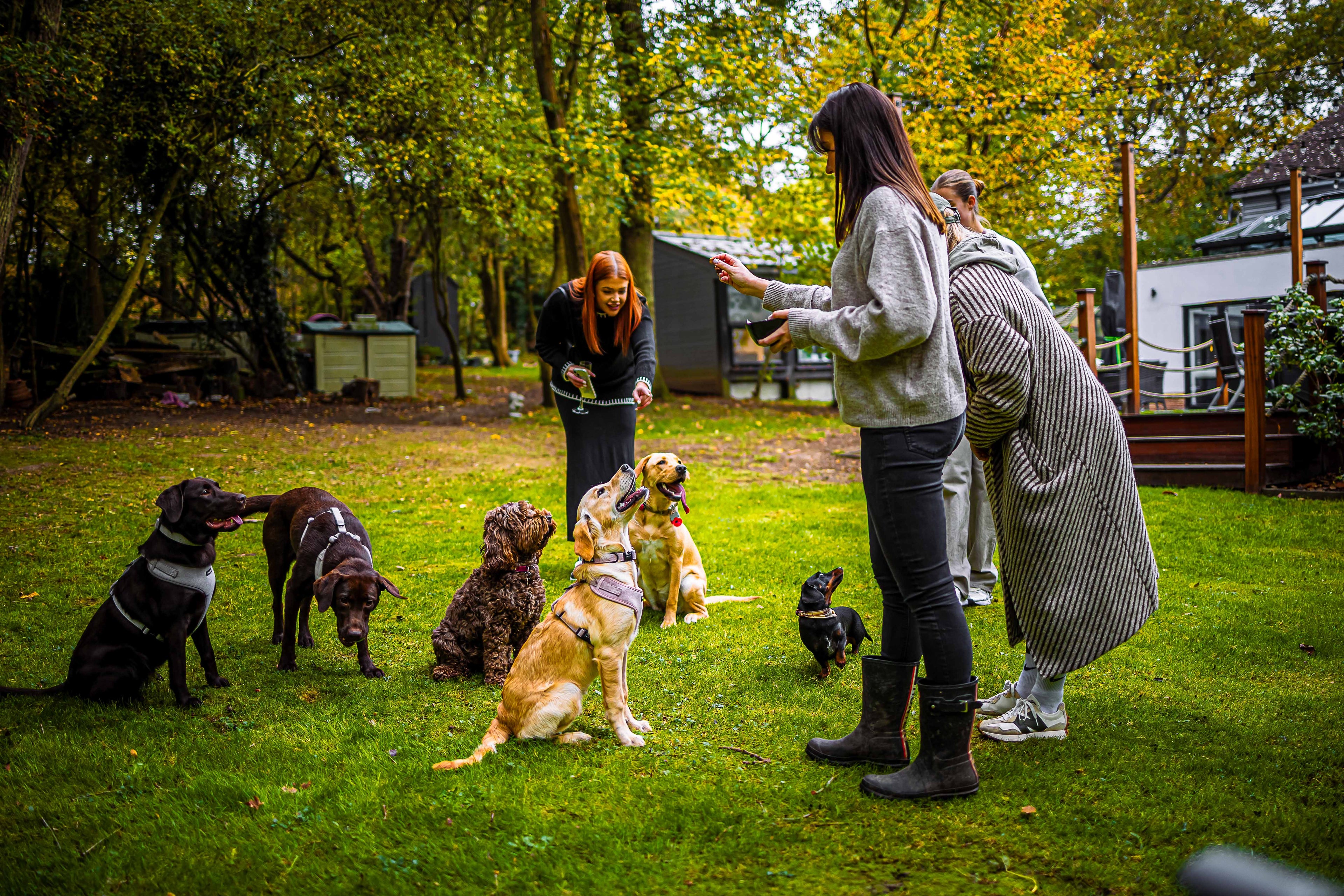 Tips for Keeping Your Dog Safe During Walks in the UK