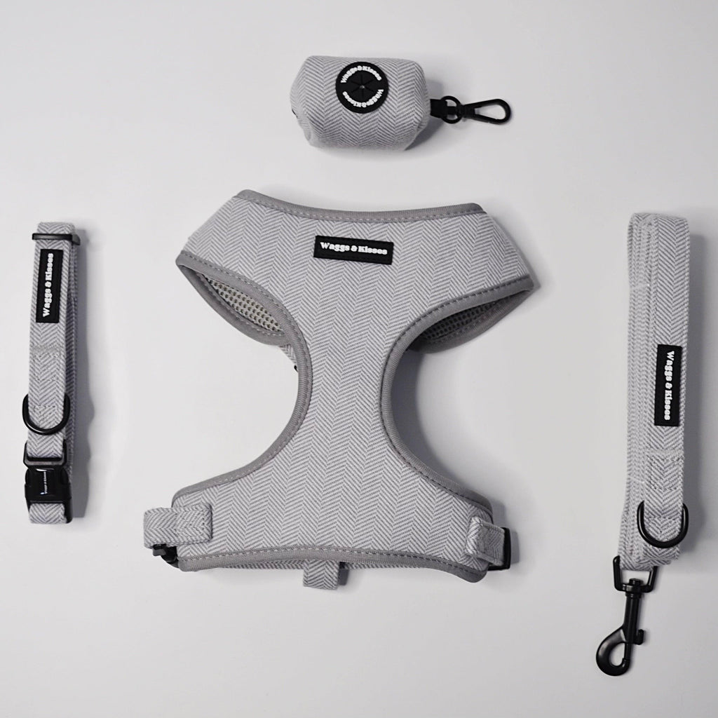 Slate Grey Tweed Bundle - Waggs and Kisses