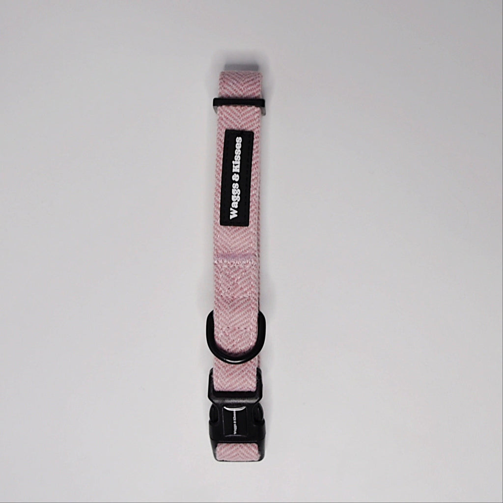 Cherry Blossom Tweed Bundle - Waggs and Kisses