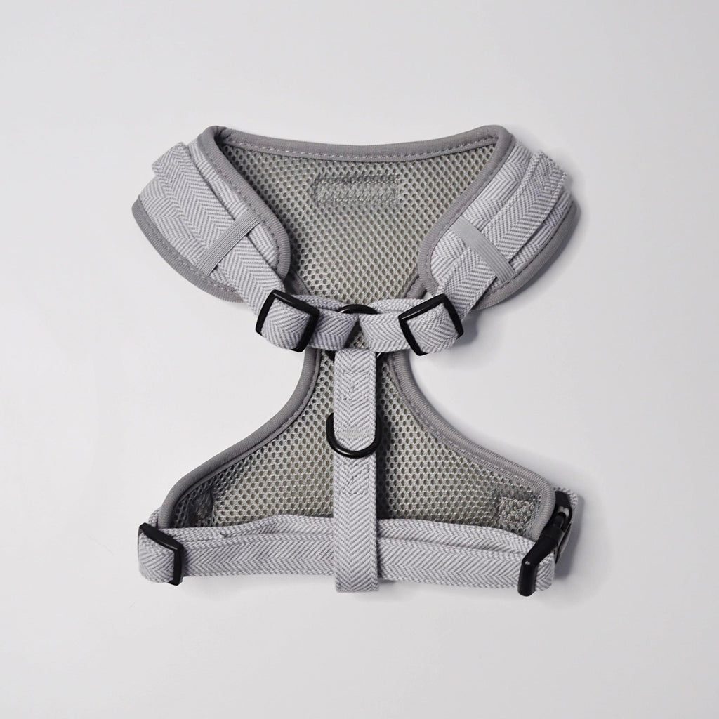 Close-up of adjustable strap and secure buckle on grey tweed dog harness