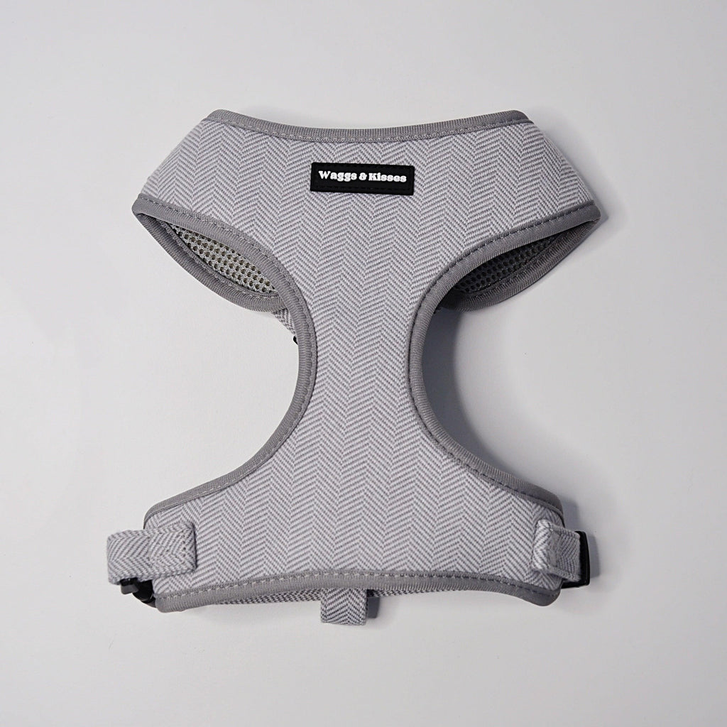 Slate Grey Tweed Dog Harness Front View