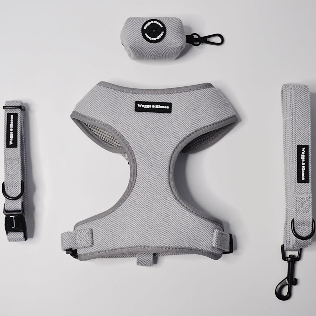 Waggs and Kisses Slate Grey Tweed Dog Lead Bundled With Matching Slate Grey Dog Harness, Lead, and Dog Poop Bag Holder